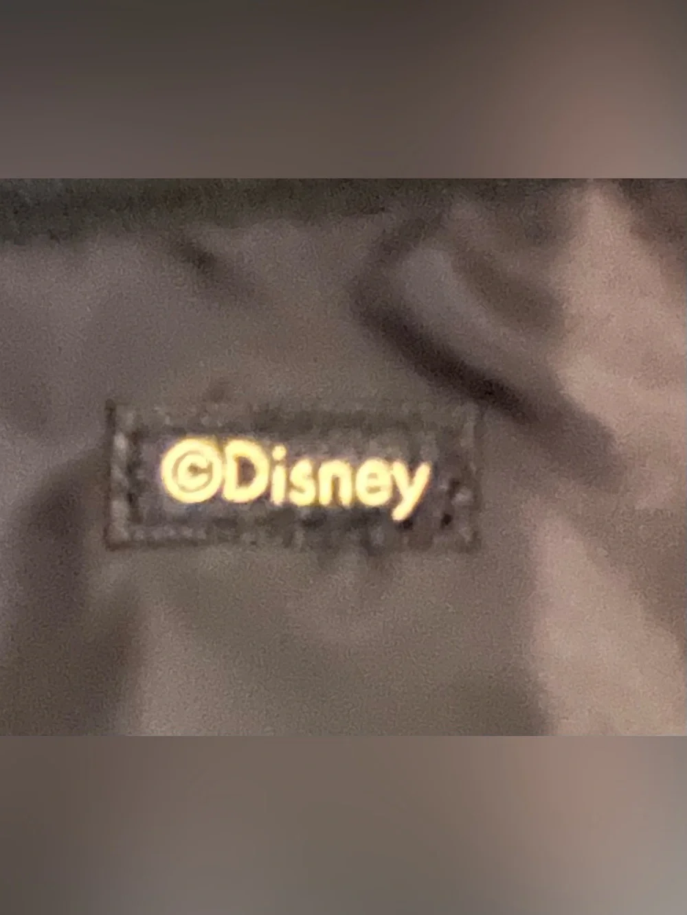 Bath & Body Works / Disney Villains Purple/Gold Make up bag